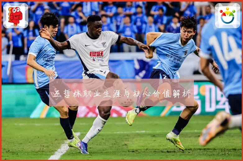 王哲林职业生涯与核心价值解析