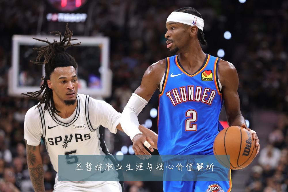 王哲林职业生涯与核心价值解析