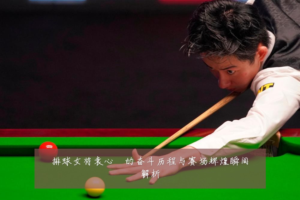 排球女将袁心玥的奋斗历程与赛场辉煌瞬间解析